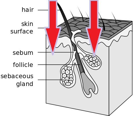 laser hair growth treatment effective stimulation